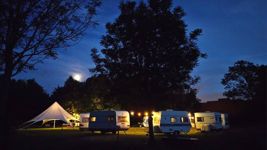 Studio Grenache meets Zero Voltage!